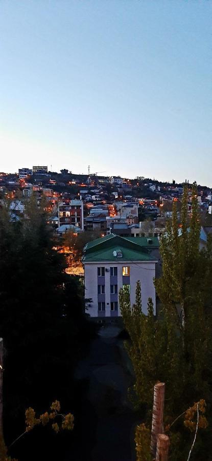 Georges Apartment Tbilisi Esterno foto